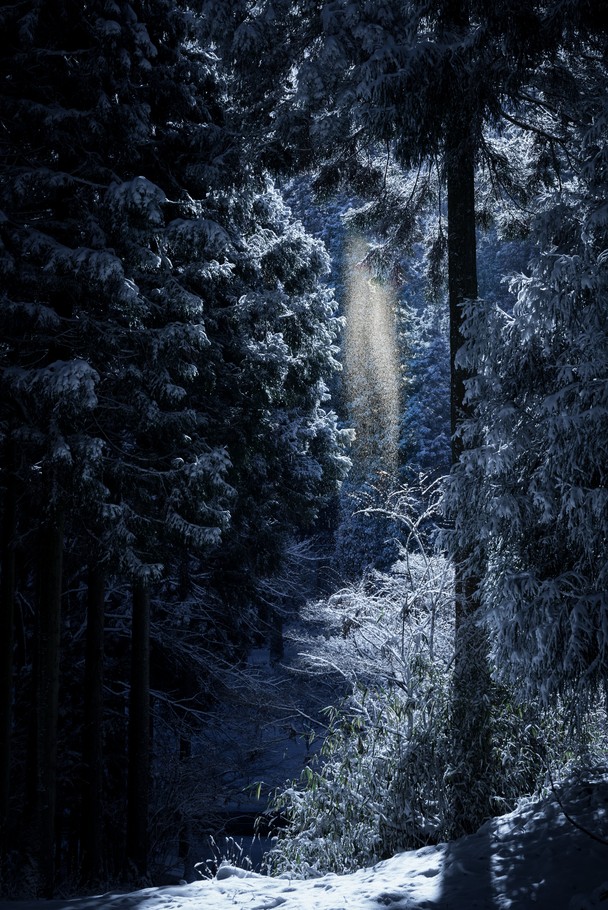 Лучшие работы Traveler Photo Contest 2014