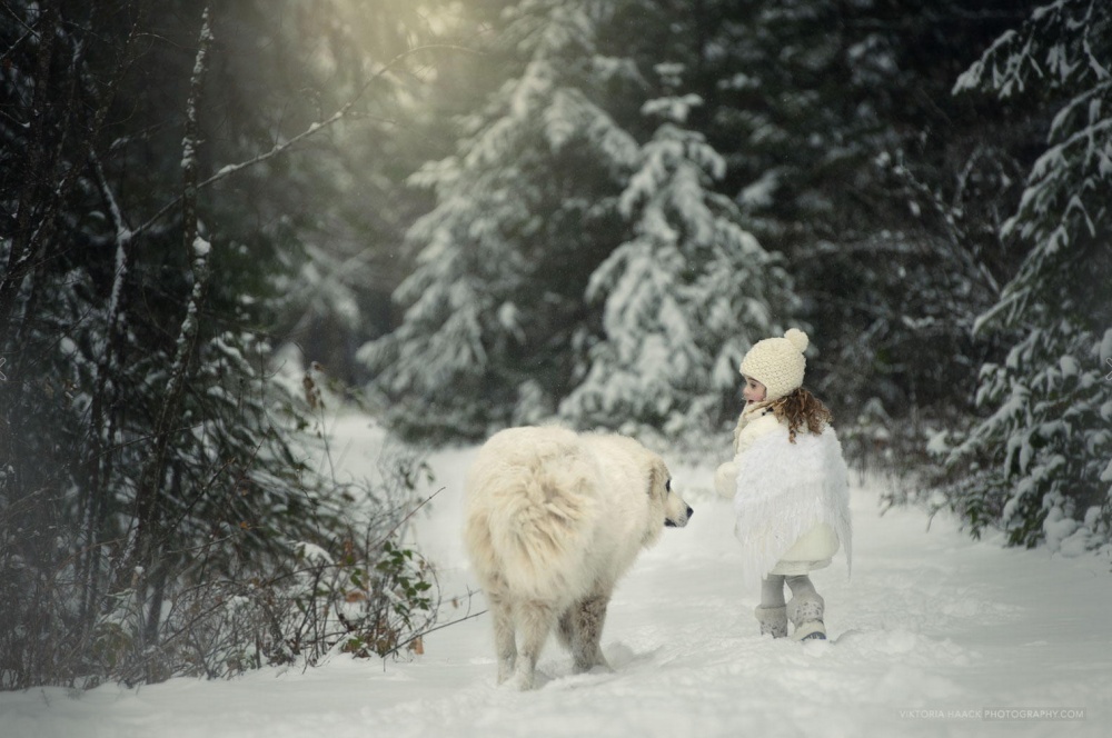 новый год, зима волшебство, снег, winter
