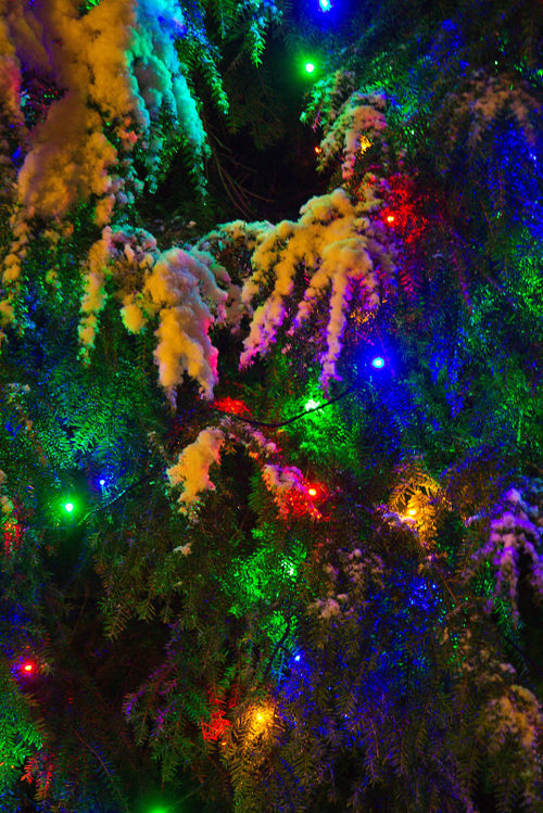 новый год, зима волшебство, снег, winter