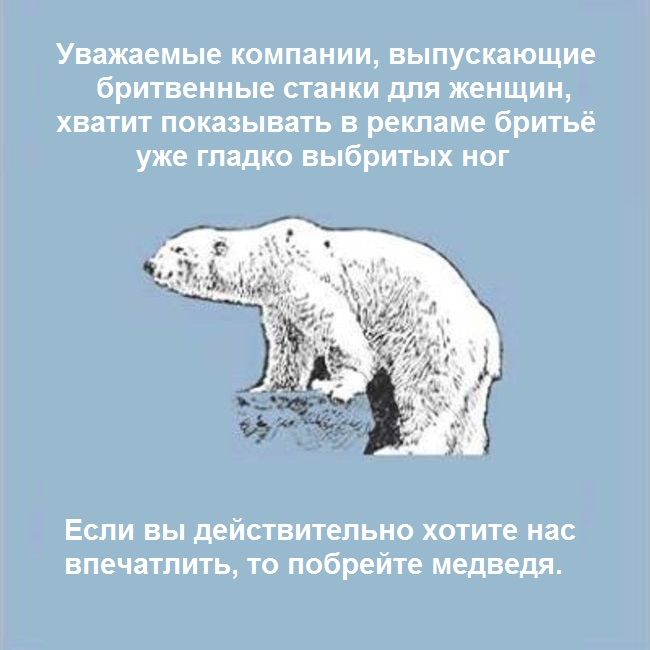 Никогда не брей медведя