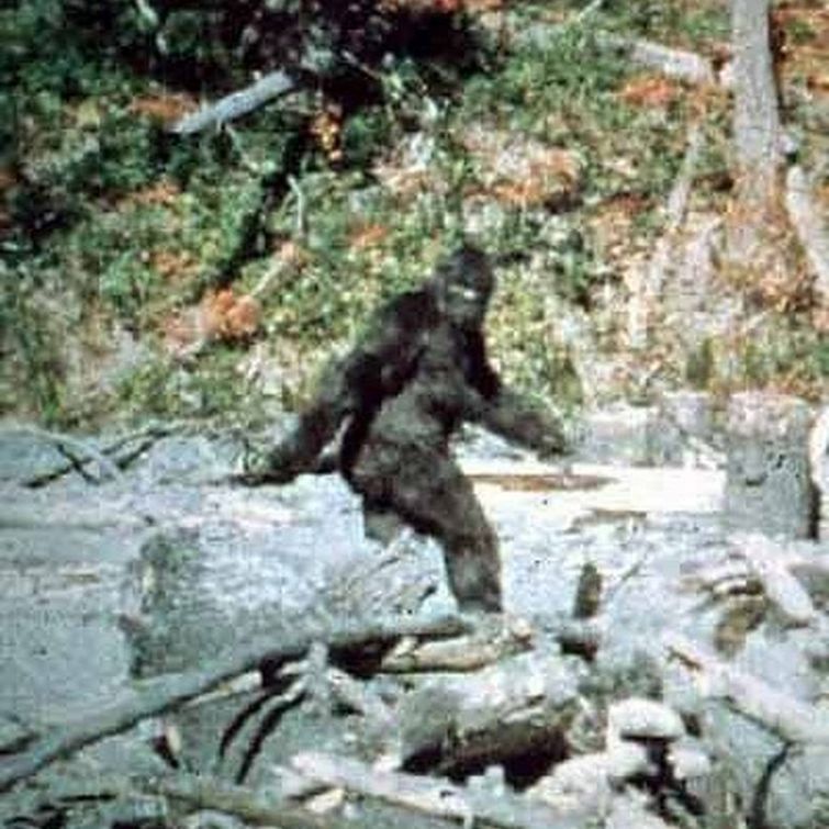 причины не брить ноги, против бритья женских ног, не обязаны брить ноги