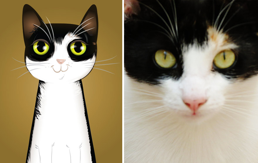 портреты домашних питомцев с учётом их характера, Chris Beetow