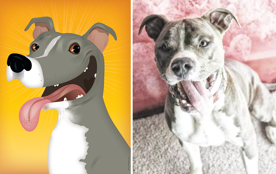 портреты домашних питомцев с учётом их характера, Chris Beetow