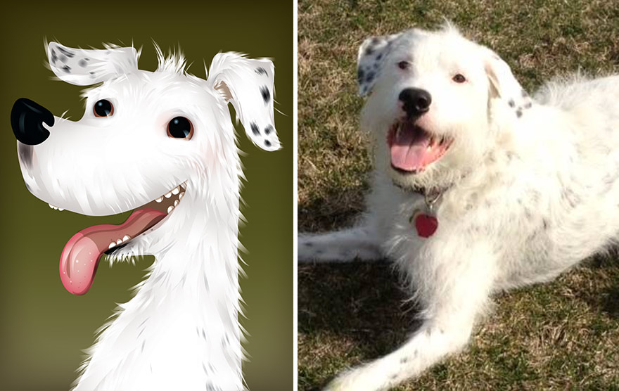 портреты домашних питомцев с учётом их характера, Chris Beetow