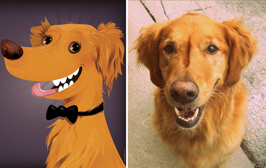 портреты домашних питомцев с учётом их характера, Chris Beetow