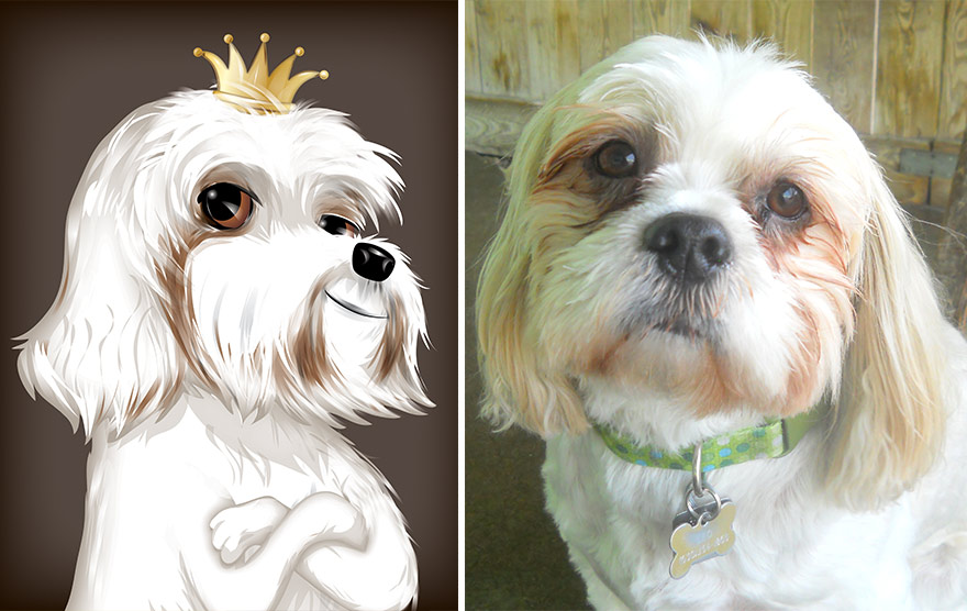 портреты домашних питомцев с учётом их характера, Chris Beetow