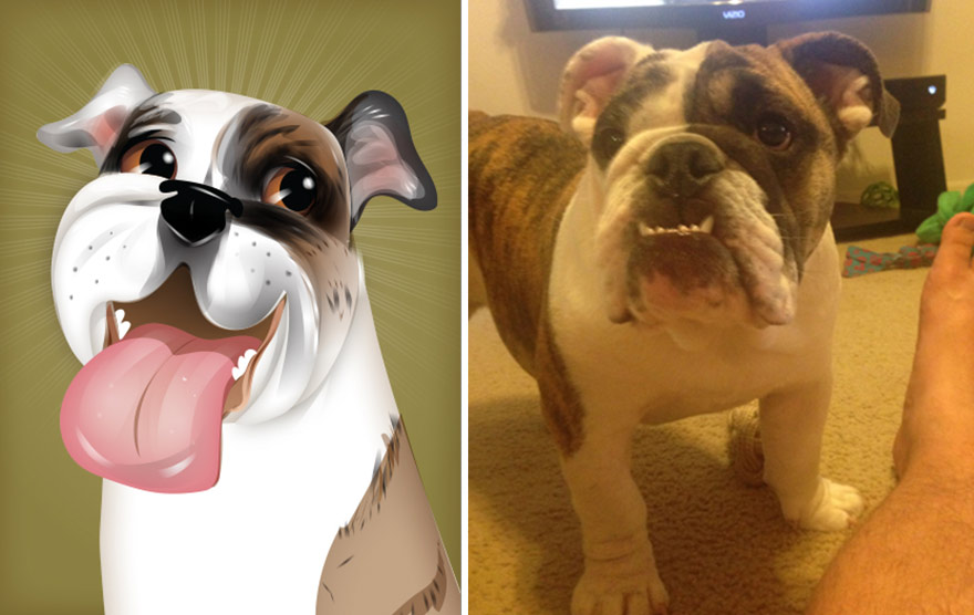 портреты домашних питомцев с учётом их характера, Chris Beetow