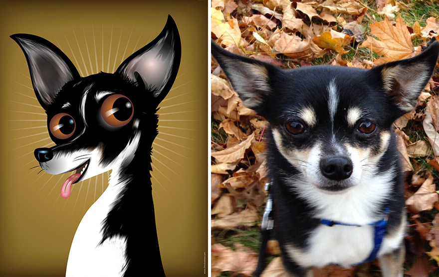 портреты домашних питомцев с учётом их характера, Chris Beetow