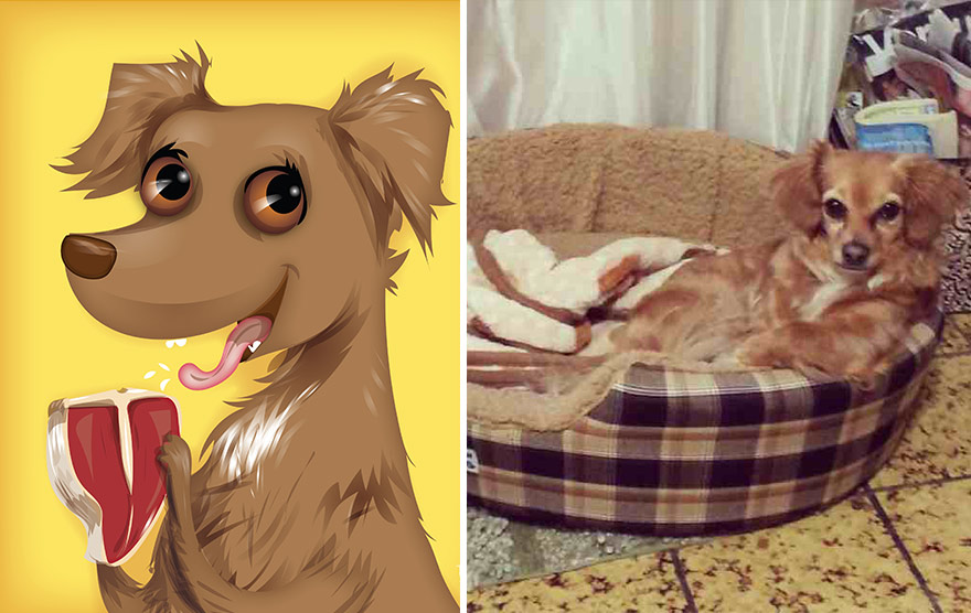 портреты домашних питомцев с учётом их характера, Chris Beetow