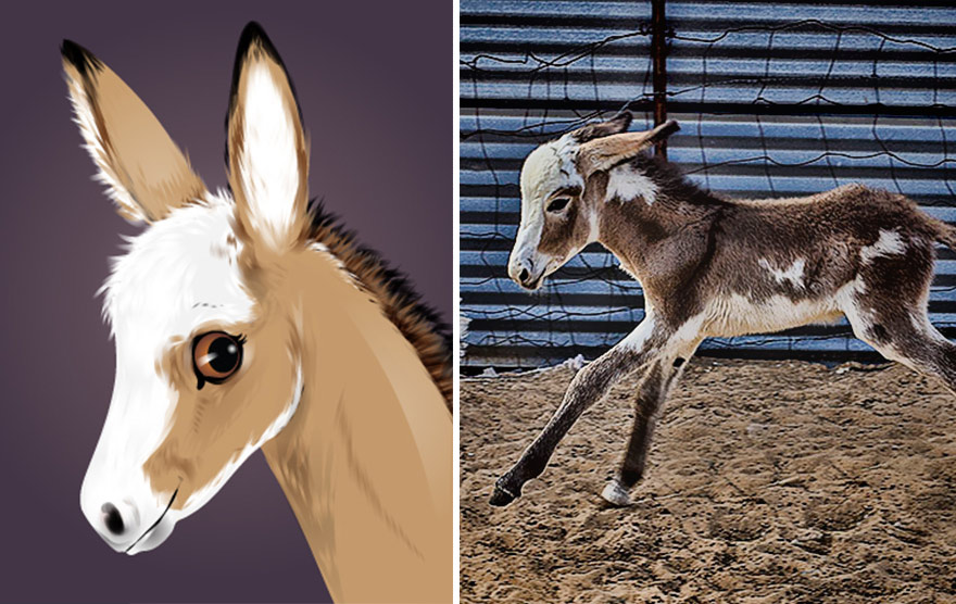 портреты домашних питомцев с учётом их характера, Chris Beetow