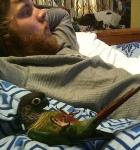 трогательные снимки, волнующие, до глубины души, эмоциональные 