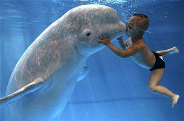 трогательные снимки, волнующие, до глубины души, эмоциональные 