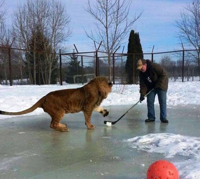 трогательные снимки, волнующие, до глубины души, эмоциональные 