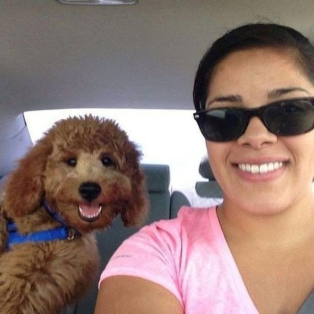 трогательные снимки, волнующие, до глубины души, эмоциональные 