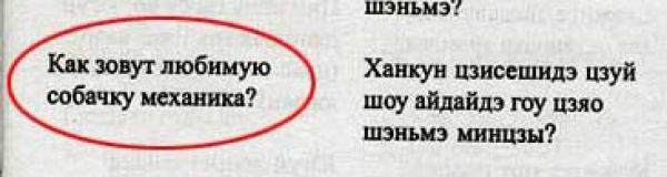 смешные, идиотские, примеры русского языка, в иностранных, учебниках, разговорниках