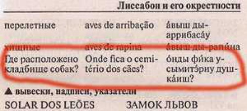 смешные, идиотские, примеры русского языка, в иностранных, учебниках, разговорниках