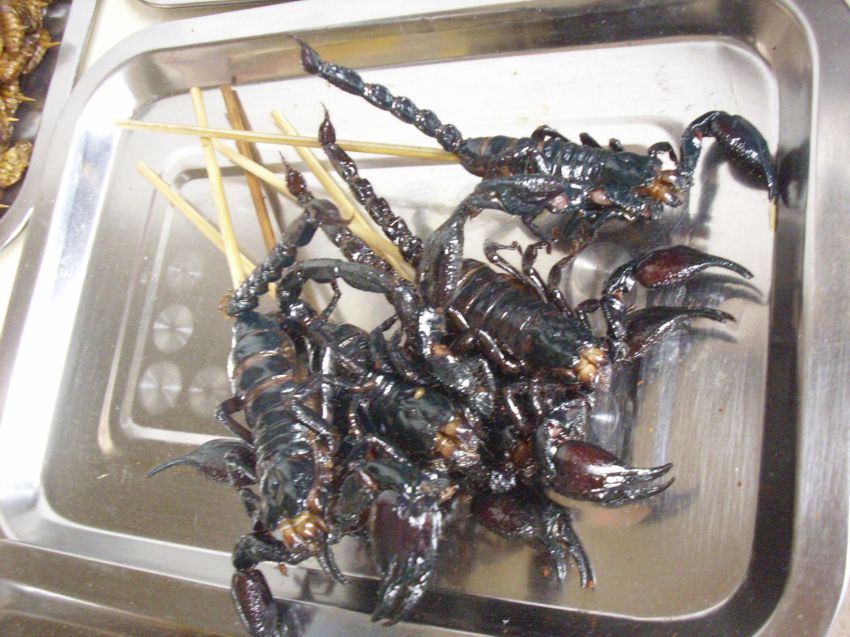 Китай всеядный: жуткие деликатесы Поднебесной