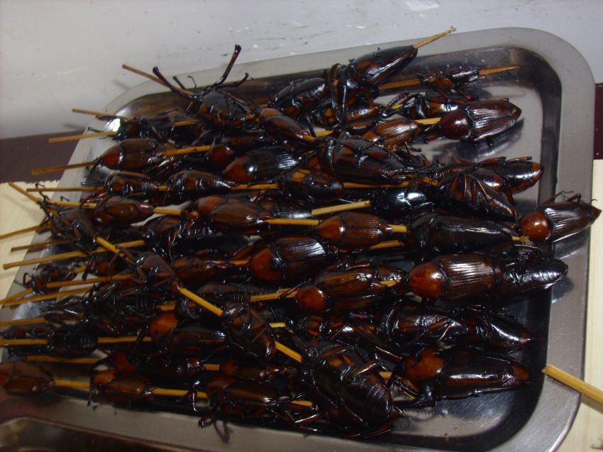 Китай всеядный: жуткие деликатесы Поднебесной