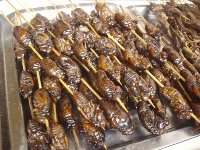 Китай всеядный: жуткие деликатесы Поднебесной