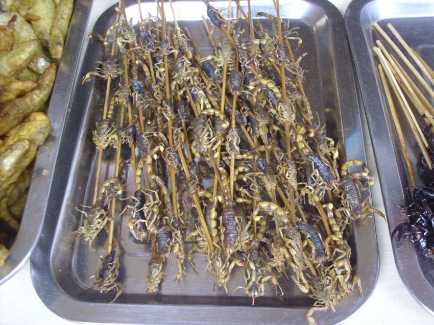 Китай всеядный: жуткие деликатесы Поднебесной