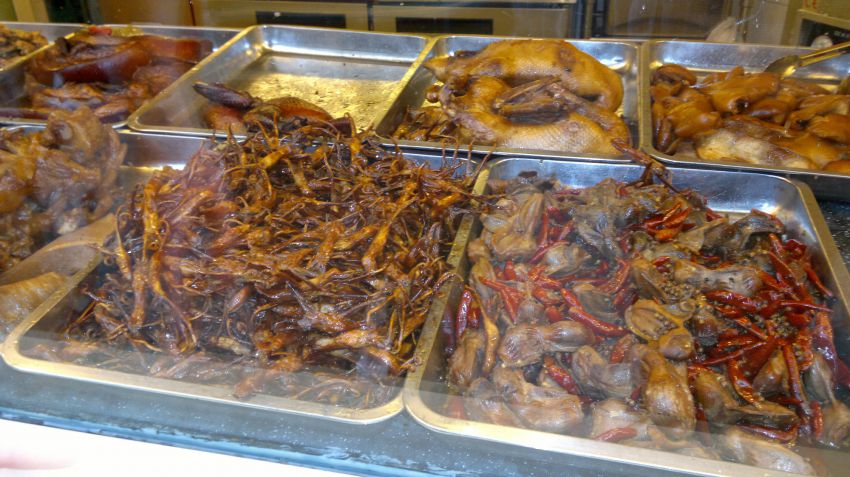 Китай всеядный: жуткие деликатесы Поднебесной