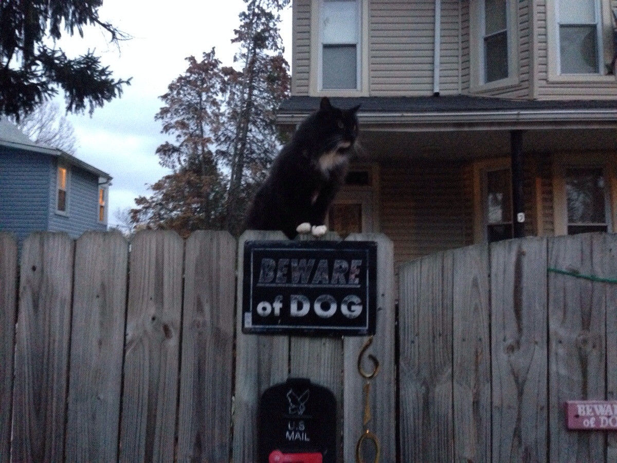 реклама врет, не верить всему что пишут, ложная реклама, надписи