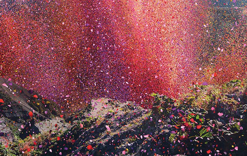 фотограф Ник Мик, Nick Meek, sony 4k tv, лепестки цветов Коста-Рико