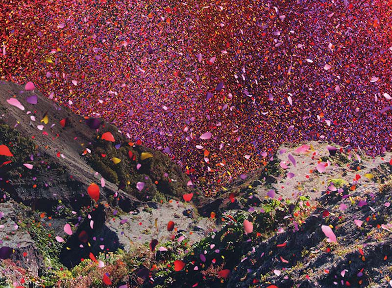 фотограф Ник Мик, Nick Meek, sony 4k tv, лепестки цветов Коста-Рико