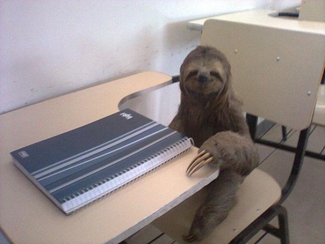 Странные снимки, фотографии не поддающиеся объяснению, странные смешные люди