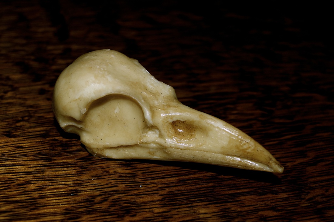 Аннабель де Веттен Annabel de Vetten, Аннабель Лектер Annabel Lecter, ужасающие торты, страшные торты