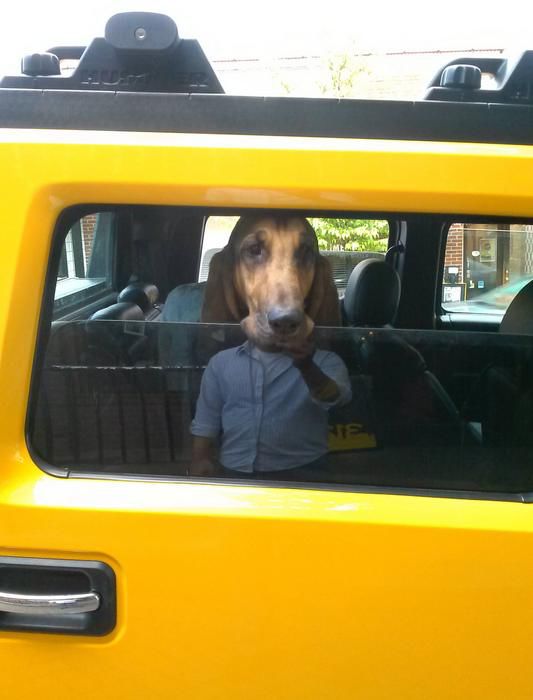 фотографии в стиле показалось, удачный ракурс, момент для фото