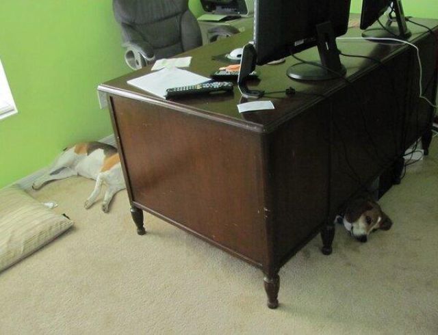 фотографии в стиле показалось, удачный ракурс, момент для фото