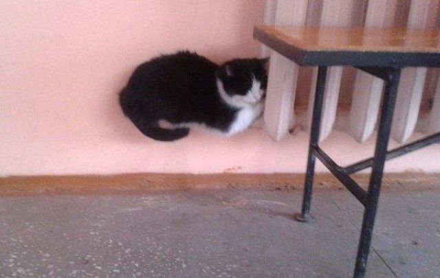 фотографии в стиле показалось, удачный ракурс, момент для фото