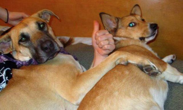 фотографии в стиле показалось, удачный ракурс, момент для фото