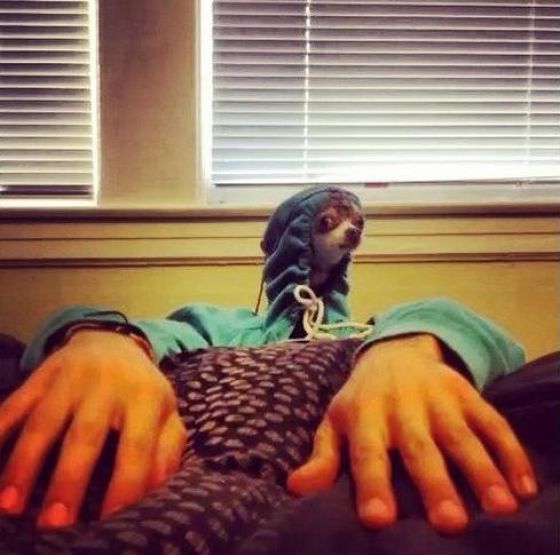 фотографии в стиле показалось, удачный ракурс, момент для фото