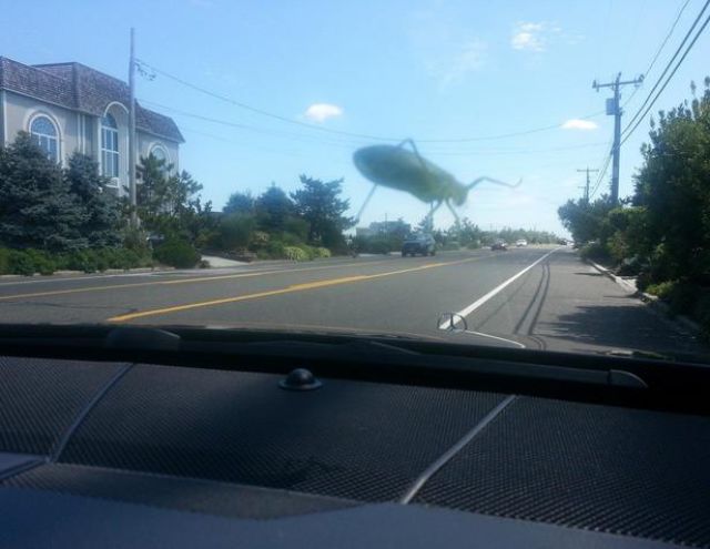 фотографии в стиле показалось, удачный ракурс, момент для фото