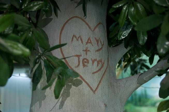 роскошщный бункер, бункер для аристократов, шикарное убежище, противоатомный 