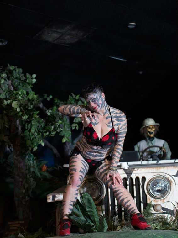 Катцен Гоббс Katzen Hobbes, женщина тигр