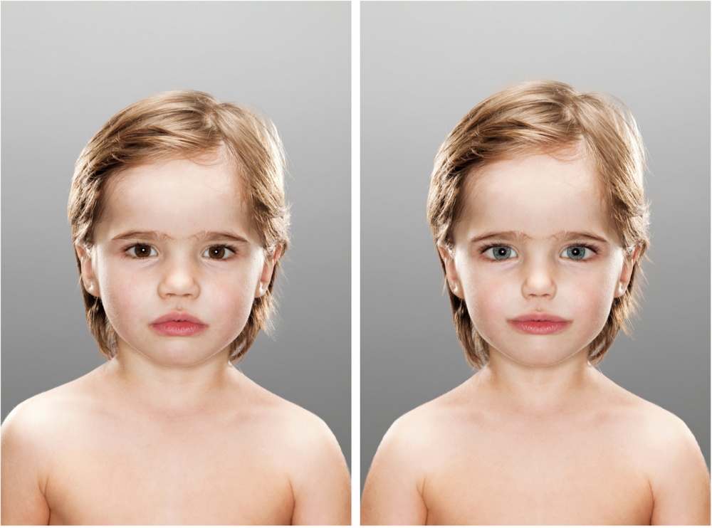 Идеальное лицо: фотопроект, позволяющий увидеть свой идеальный образ сканирование головного мозга, необычный фотопроект, Скотт Чассерот, Scott Chasserot, Original ideal