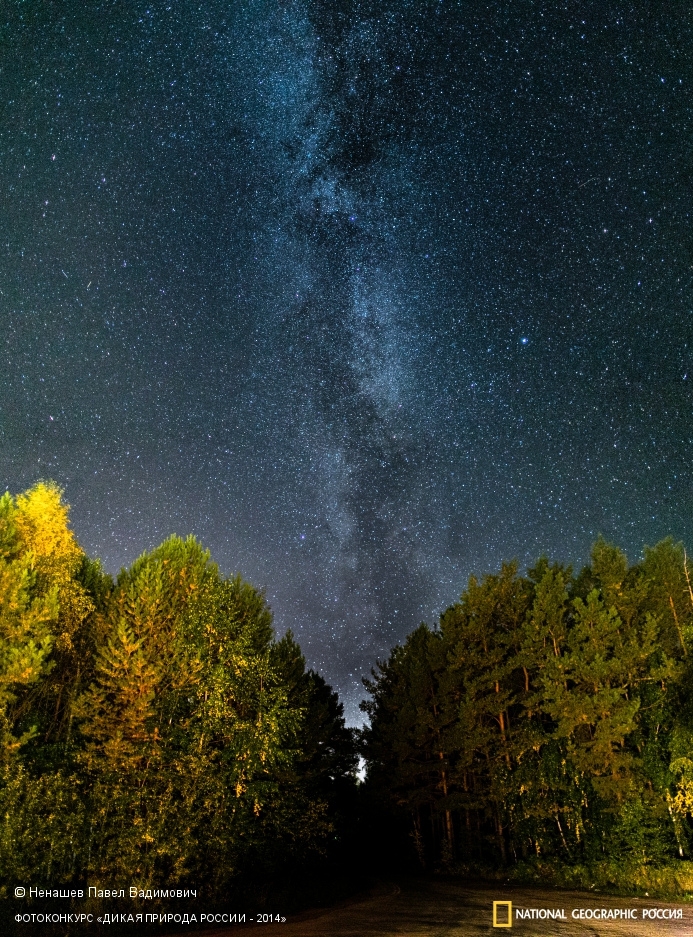 National Geographic Россия, Дикая природа России-2014