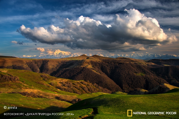 National Geographic Россия, Дикая природа России-2014