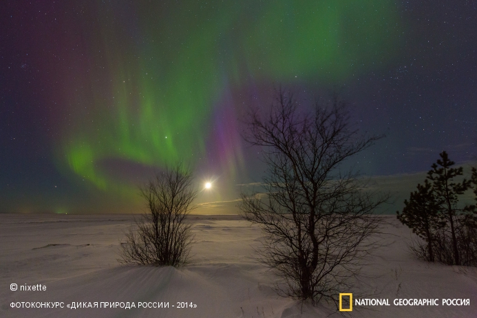 National Geographic Россия, Дикая природа России-2014