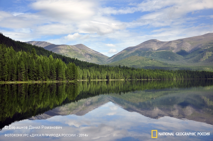 National Geographic Россия, Дикая природа России-2014