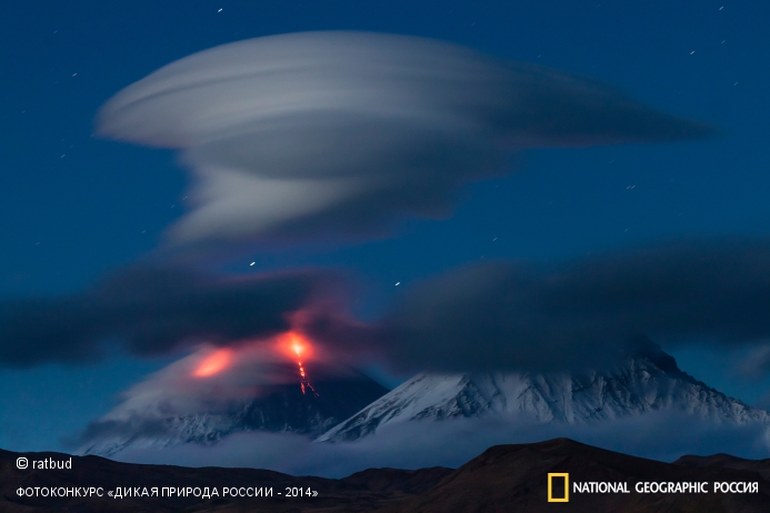 National Geographic Россия, Дикая природа России-2014