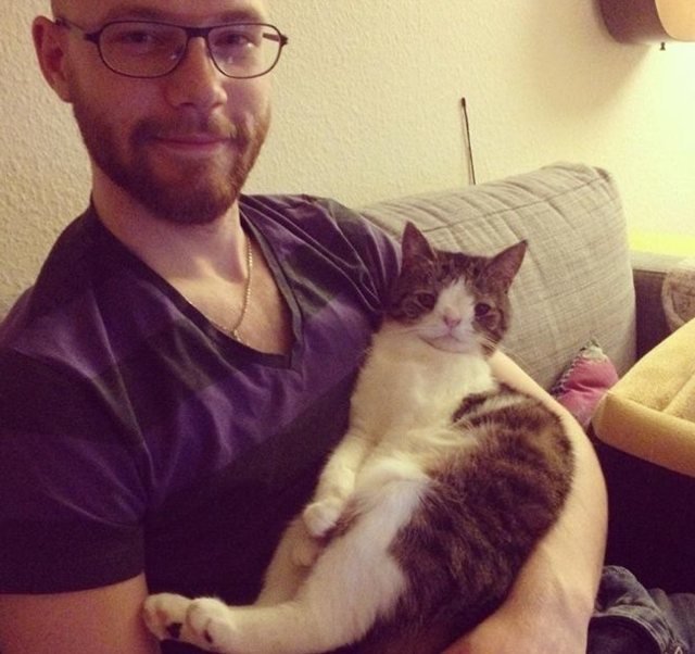 cat monty, кот аватар, кот с необычной мордочкой, кот без спинки носа