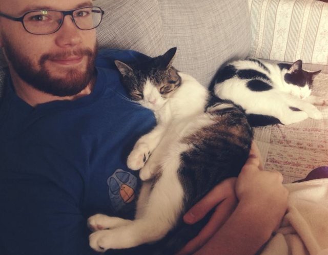 cat monty, кот аватар, кот с необычной мордочкой, кот без спинки носа