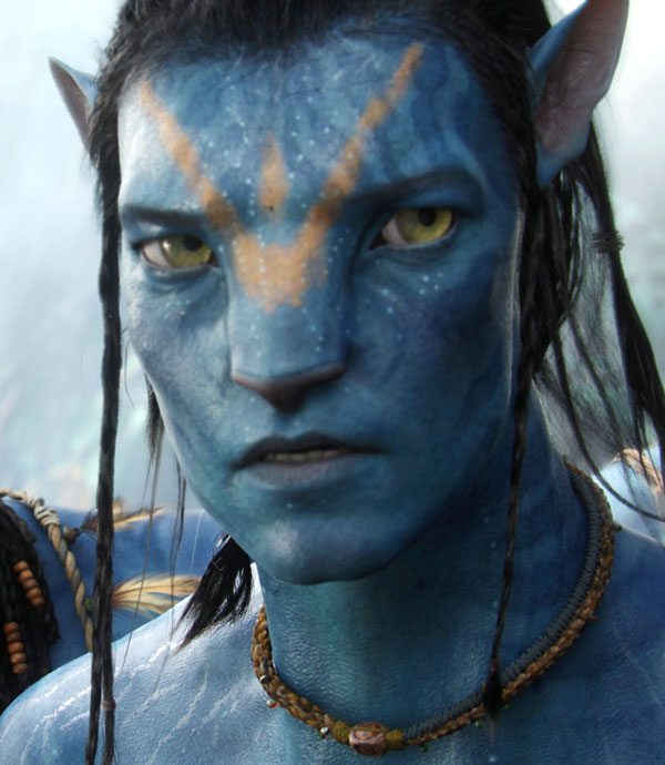 cat monty, кот аватар, кот с необычной мордочкой, кот без спинки носа