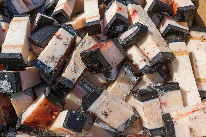 странные блюда древности, 10 странных блюда из поваренных книг