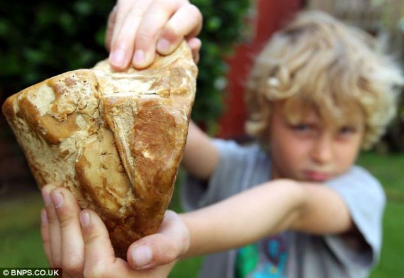 странные блюда древности, 10 странных блюда из поваренных книг