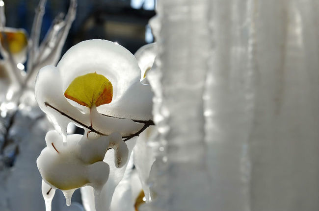 взрыв водопровода в Пекине, взрыв водопровода Пекин лед, Ледяная крепость Пекин прорвало водопровод